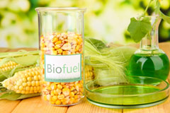 Cargate Common biofuel availability